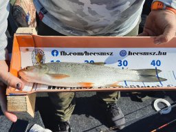 Csónakos_Pergető_Tisza_26