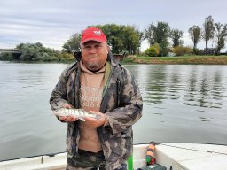 Csónakos_Pergető_Tisza_37