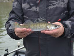 Csónakos_Pergető_Tisza_39