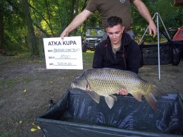  IV. Atka kupa (ősz)_125