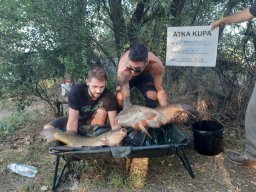  IV. Atka kupa (ősz)_22