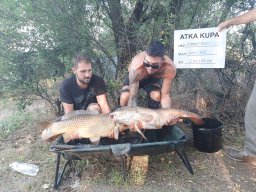  IV. Atka kupa (ősz)_23