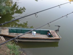  IV. Atka kupa (ősz)_80