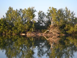  IV. Atka kupa (ősz)_96