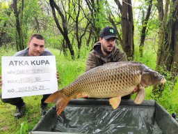 IV. Atka Kupa (tavasz)