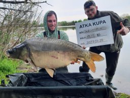 IV. Atka Kupa (tavasz)