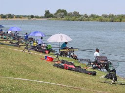 LX. Tagszövetségi Csapat Országos Bajnokság