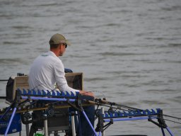 VIII.Klubcsapat Feeder OB