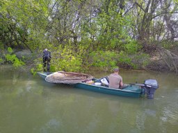 202404_busahalaszat_tisza007