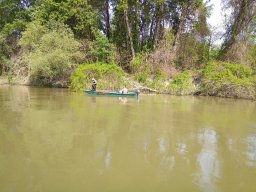 202404_busahalaszat_tisza010