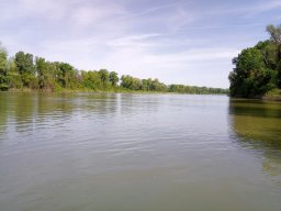 202404_busahalaszat_tisza011