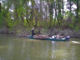 202404_busahalaszat_tisza013