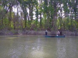 202404_busahalaszat_tisza014