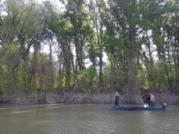 202404_busahalaszat_tisza015