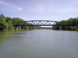 202404_busahalaszat_tisza016
