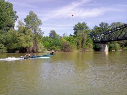 202404_busahalaszat_tisza017