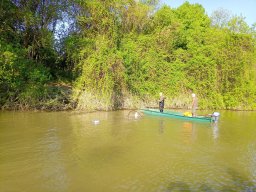 202404_busahalaszat_tisza018