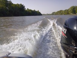 202404_busahalaszat_tisza022