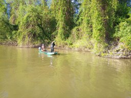 202404_busahalaszat_tisza024