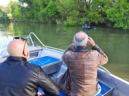 202404_busahalaszat_tisza028