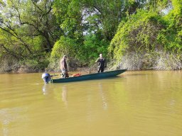 202404_busahalaszat_tisza031
