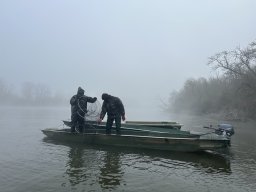 241118_atka_004