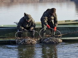 241125_atka_02