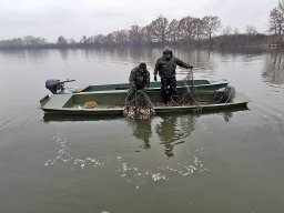 241202_atka_004