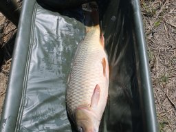 240412_pextra_035
