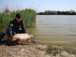 240412_pextra_044