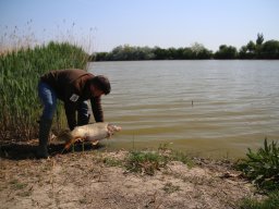 240412_pextra_052