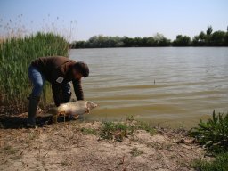 240412_pextra_053