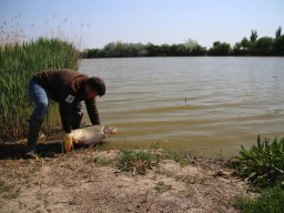 240412_pextra_054