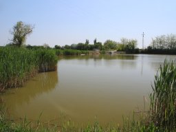 240412_pextra_058