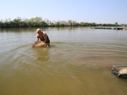 240412_pextra_093