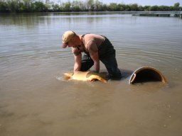 240412_pextra_125