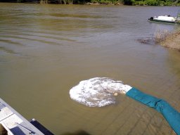 240415_p2_tisza_027