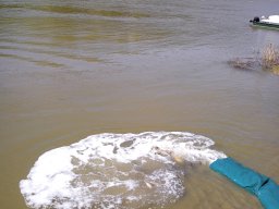 240415_p2_tisza_028