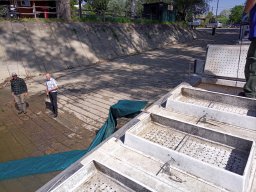 240415_p2_tisza_034