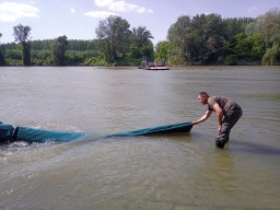 240415_p2_tisza_061