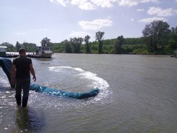 240415_p2_tisza_066