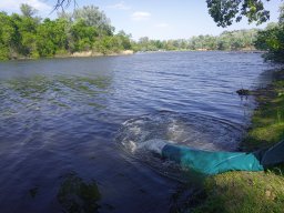 240415_p2_tisza_081