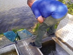 240415_p2_tisza_087
