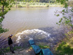 240415_p2_tisza_092