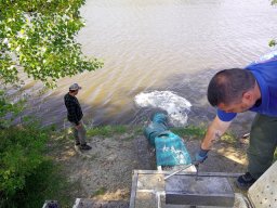 240415_p2_tisza_095