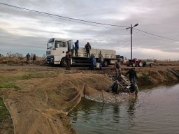 241216_kvegyes_001