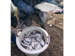 241216_kvegyes_002