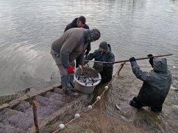 241216_kvegyes_005