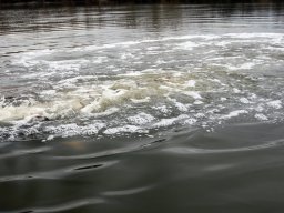 241216_kvegyes_028