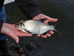 241206_k1_008